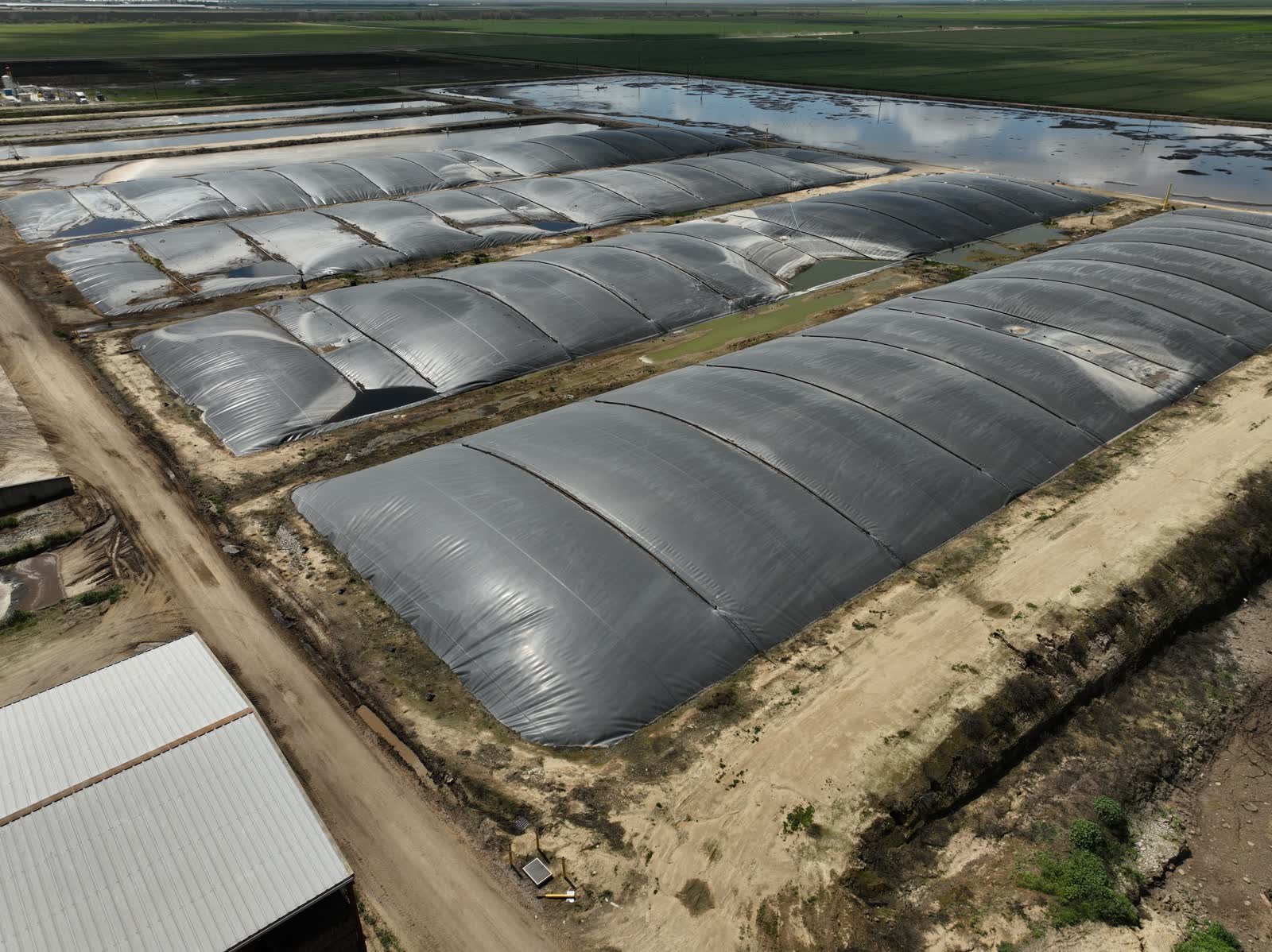 Covered lagoons, seen from the drone — each dome is gas collecting.